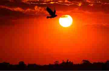  Com La Niña, verão 2025/2026 foi marcado por chuvas irregulares e temperatura de 39,7°C 